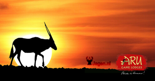 Africa Hunting Roadshow